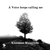 آلبوم کیومرث مسیبی صدایی مدام مرا فرا میخواند