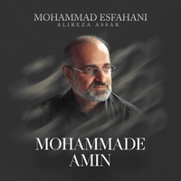محمد اصفهانی و علیرضا عصار محمد امین