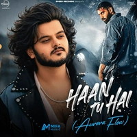 ویشال میشرا Haan Tu Hai (Aurora Flow)