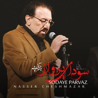 سودای پرواز