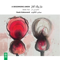 باز یک آغاز ( تکنواری تار )