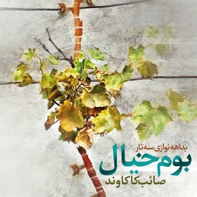 آلبوم صائب کاکاوند بوم خیال ( بداهه نوازی سه تار )