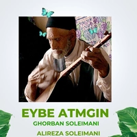 علیرضا سلیمانی