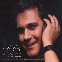 پرواز چه سازم