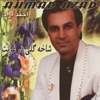 شاخه گلی در غربت