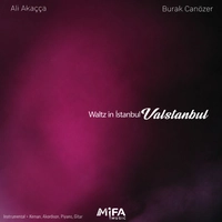 Waltz in istanbul valstanbul
