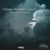 آلبوم دن گیبسون Echoes Between Clouds