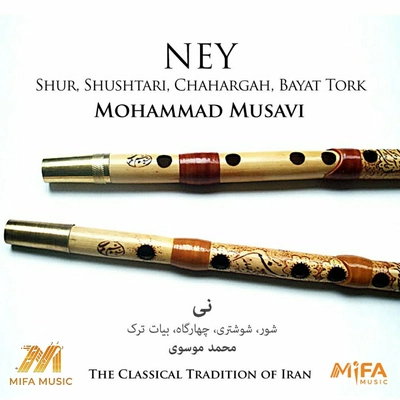 آلبوم محمد موسوی نی