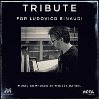 Tribute for Ludovico Einaudi