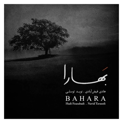 هادی فیض آبادی بهارا
