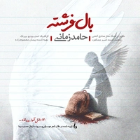 حامد زمانی بال فرشته