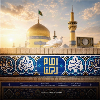 حامد زمانی امام رضا
