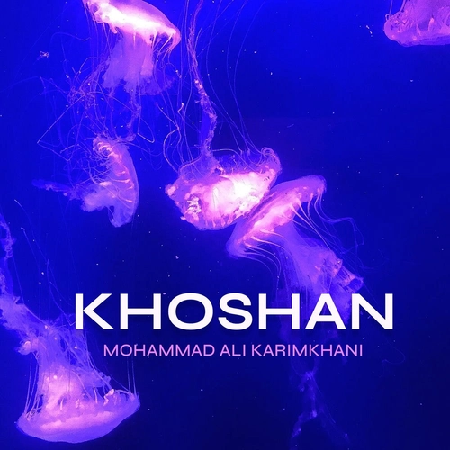 مهدی جهانگیر