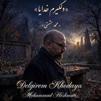 محمد حشمتی دلگیرم خدایا