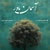آسمان باور