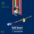 14 - Bayat Tork: Ruhol-arvah