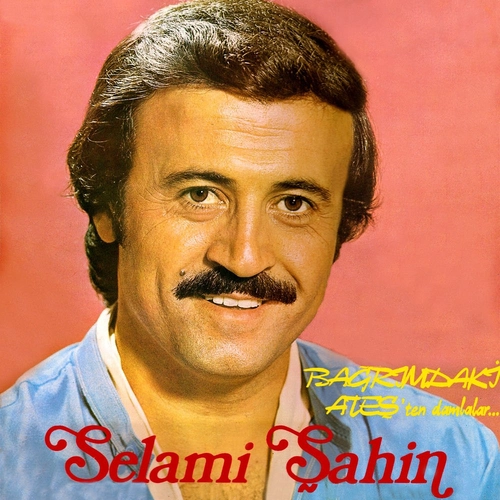 سلامی شاهین