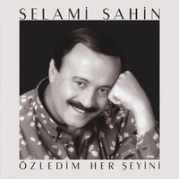 Ozledim Her Seyini