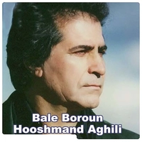هوشمند عقیلی بله برون
