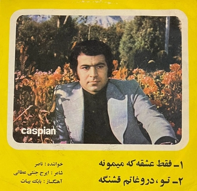 ناصر صبوری تو دروغاتم قشنگه
