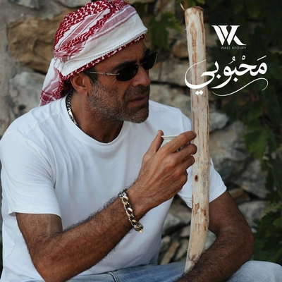وائل کفوری محبوبی