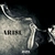 آلبوم راینهارت بور Arise