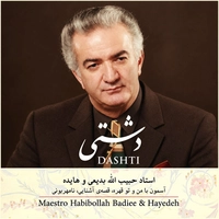 دشتی