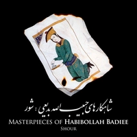 شور