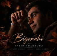 سعید شهروز بی گناهی