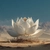 White Lotus