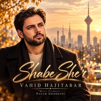 وحید حاجی تبار شب شعر