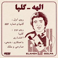 گلهای رنگارنگ
