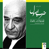 ضرب اصول